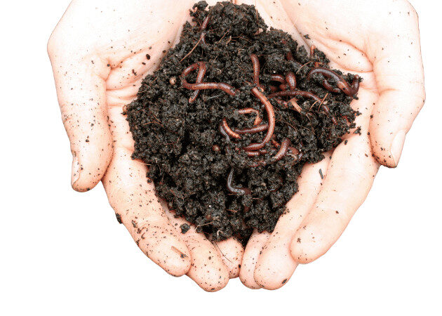 ees-banners-sl-02 Vermicompost